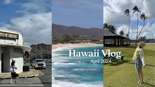 Hawaii Vlog 2024 一次难忘的海岛旅行 [upl. by Alyekahs]