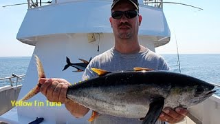 Tuna Fishing on the Atlantic Ocean tuna tunafish tunafishing yellowfintuna fishing boat [upl. by Aicnatsnoc893]