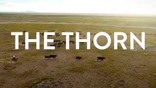 The Thorn  A Documentary on New Mexico Cattle Ranching [upl. by Lora]