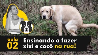 XIXI E COCÃ” NA RUA  COMO ENSINAR O CACHORRO A FAZER SUAS NECESSIDADES FORA DE CASA [upl. by Lian]