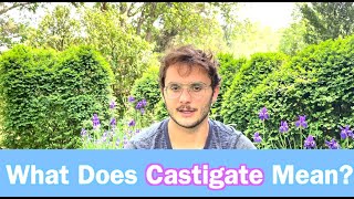 What Does Castigate Mean Learn Daily Vocabulary [upl. by Sterne]