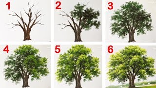 How to Paint a Tree with Acrylic lesson 13 [upl. by Abebi]