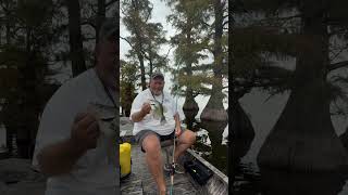 More of that Reelfoot Lake Cypress Tree Fishing crappielake lakelife crappie [upl. by Florinda]