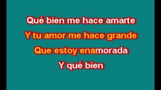 THALIA ESTOY ENAMORADO KARAOKE [upl. by Annaicul]