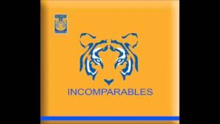 Leandro Ríos  Señores Soy De Tigres [upl. by Fairfield503]