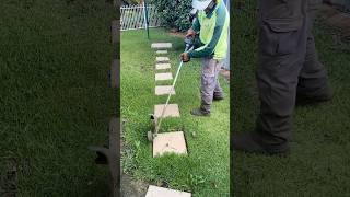 lawncare edge gardening lawnservice davidsmowingsydney explore reels asmr fyp diy gym [upl. by Illoh189]