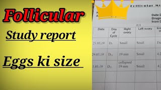 Follicular Study Ultrasound  Ovulation Study ultrasoundajaykaushik [upl. by Kerwinn306]