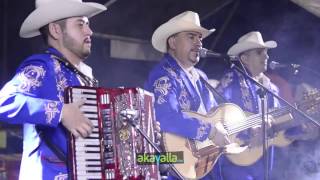 Los Canelos De Durango  El Sabio Salomón 2016  EN VIVO [upl. by Teyut]