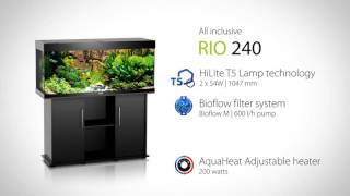 Juwel Aquarium Rio 240 [upl. by Arela]