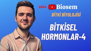 Bitki Biyolojisi  Bitkisel Hormonlar4 Konu Anlatımı 12 Sınıf Biyoloji [upl. by Tufts925]