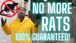 YOU WONT HAVE RATSEVER AGAIN Rat pest control on another level [upl. by Yraeht260]