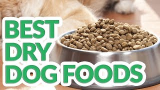 Best Dry Dog Food 2019  10 TOP Dry Dog Foods [upl. by Timon]