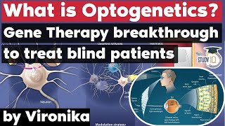 What is Optogenetics and how it can help blind people Science amp Technology Current Affairs for UPSC [upl. by Zelig]