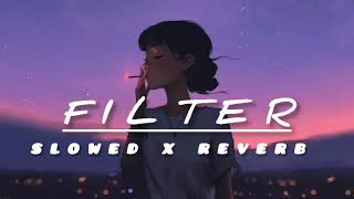 FILTER  GULAB SIDHU  SLOWED REVERB  PUNJABI LOFI SONG  gulabsidhumusic [upl. by Oicnedif]