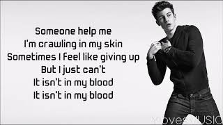 Shawn Mendes  In My Blood Lyrics [upl. by Nittirb926]