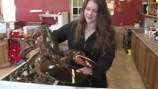 Woman Buys 23 Pound Lobster to Set Him Free [upl. by Colley167]