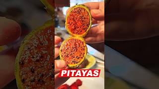 The Rare Mexican Fruit You Need to Try  pitayas shorts [upl. by Voletta]