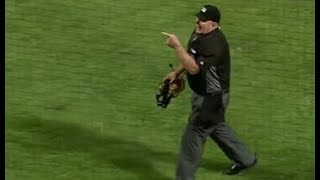 MLB Fan Ejections [upl. by Ydurt759]