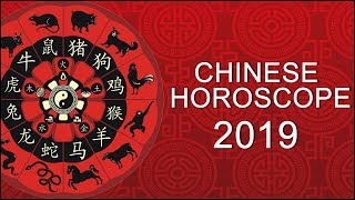 CHINESE HOROSCOPE 2019 [upl. by Alair]