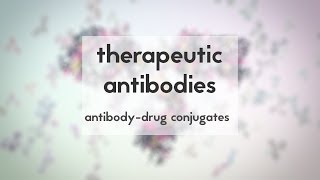 Therapeutic antibodies Part 3 antibodydrug conjugates [upl. by Jewett]