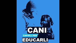 La soglia di eccitabilità del cane [upl. by Mihalco]