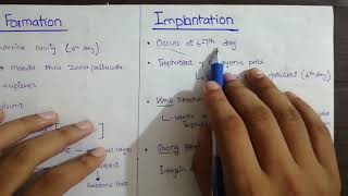 Blastocyst Formation and Implantation  General Embryology  langman klm [upl. by Llenoil]