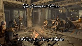 The Elder Scrolls V SKYRIM  The Bannered Mare a cover by SonOfAuriEl [upl. by Millda]