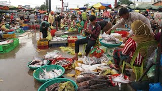 Amazing Site Distributes SeaFood amp Fish Chhbar Ampov  Morning Fish Market Scene Show [upl. by Gabriel]