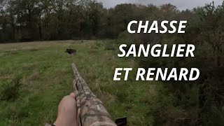 CHASSE SANGLIER ET RENARD OUVERTURE 2023 2024 [upl. by Spiers]