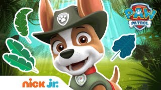 Extended Trailer FtTracker 🐾 NEW Full Episode on  PAW Patrol  Nick Jr [upl. by Dud]