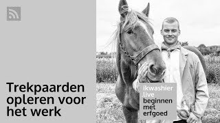 Beginnen met erfgoed 50 Trekpaarden opleren voor het werk  Sam Stylemans op ikwashierlive [upl. by Saticilef]