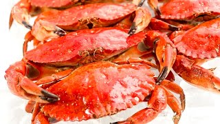 What To Know About Dungeness Crab And The Fishing Season Opening [upl. by Lambrecht]