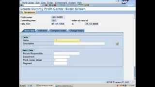 SAP Profit Center Accounting Configuration [upl. by Kashden]