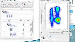 Concatenation and tSNE Webinar [upl. by Suoirtemed]