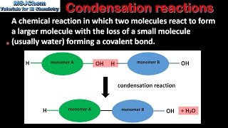 B1 Hydrolysis and condensation reactions SL [upl. by Giliane]