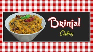 Easy To Make BrinjalEggplant Chutney  Vankaya Pachadi  Slurp [upl. by Monica]