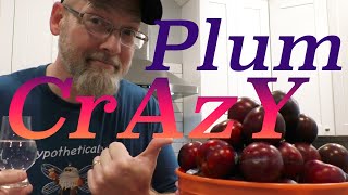 How to Make Croatian PLUM BRANDYRAKIASLIVOVITZ [upl. by Peoples]