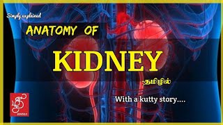 kidney pain location on body in tamil  kidney failure symptoms in tamil  kidney failure tamil [upl. by Atteloiv55]