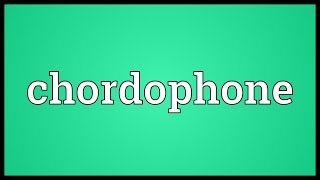 Chordophone Meaning [upl. by Neryt487]