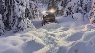 Snow Rabbit 3 in woods outside Oslo Norway [upl. by Arammat]