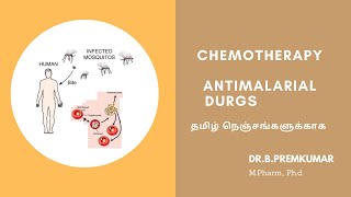 Antimalarial Drugs  Tamil [upl. by Juan647]