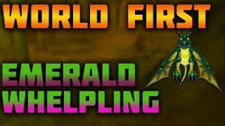 SUPER RARE Classic WoW 008 Drop Reaction  Tiny Emerald Whelpling [upl. by Aita]