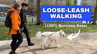 Train ANY Dog to Walk on a Loose Leash Stop Leash Pulling [upl. by Bremser568]