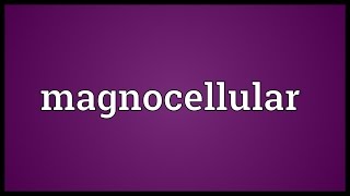 Magnocellular Meaning [upl. by Gerge131]