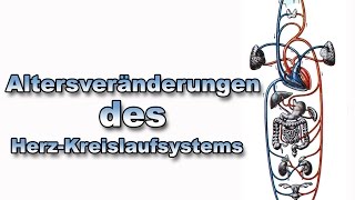 Altersveränderungen des HerzKreislaufsystems  Anatomie  Pflege Kanal [upl. by Almita]