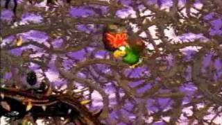 Donkey Kong Country 2  102 Walkthrough Part 43  Screechs Sprint [upl. by Hessler740]