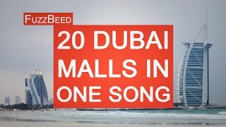 20 Malls of Dubai in One Song  Rohit Iyengar [upl. by Anavoig]