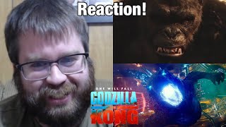 GFest 2022 Godzilla vs Kong Vs MechaGodzilla Theatre Reaction [upl. by Jessalin169]