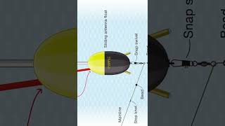 Shorts CATFISH Sliding Float Rig [upl. by Adnir]