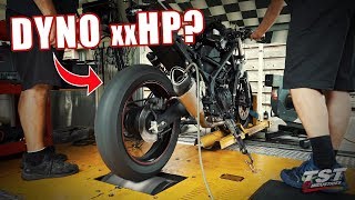 How much HP does a Yamaha R3 Superbike make Superbike Build Series Ep11 [upl. by Llenrahc362]